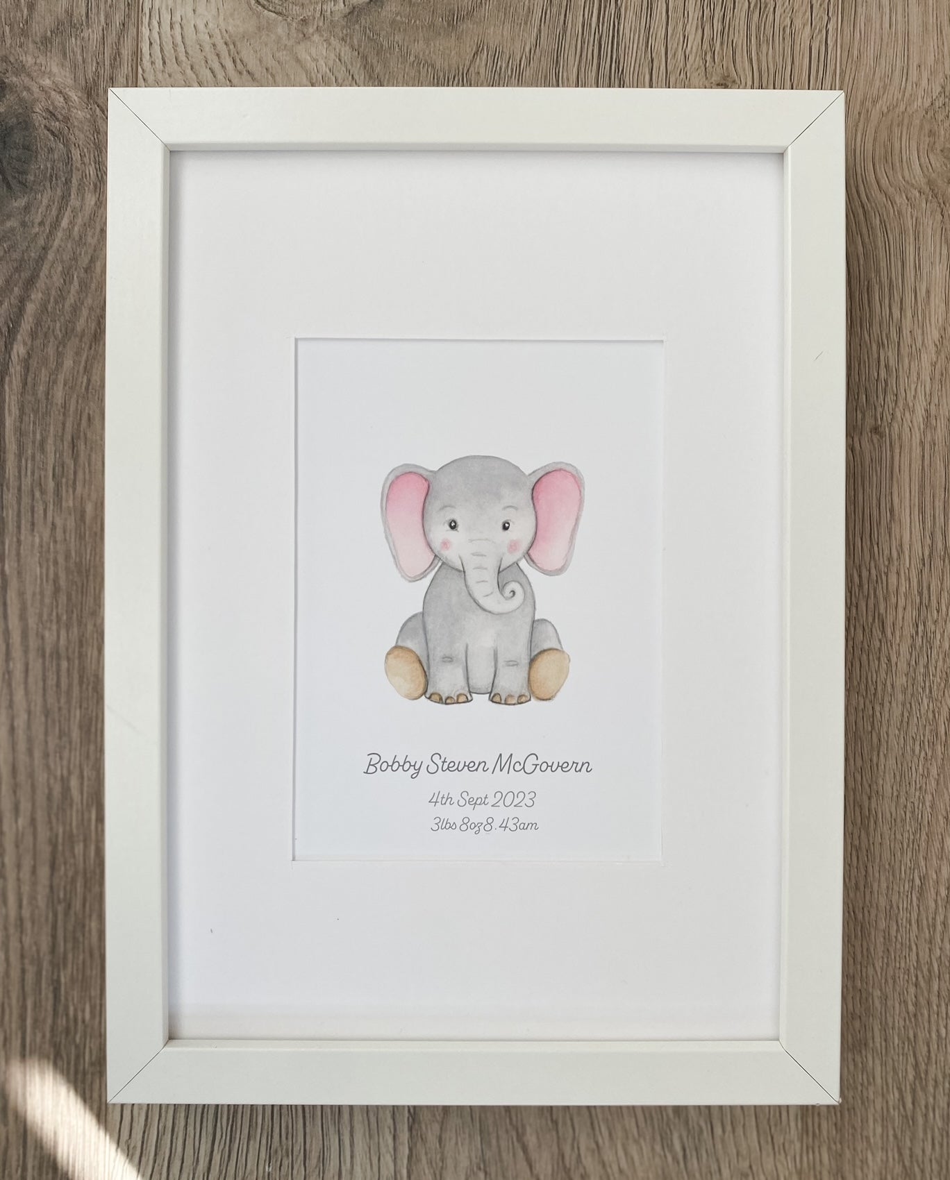 Baby Elephant Print